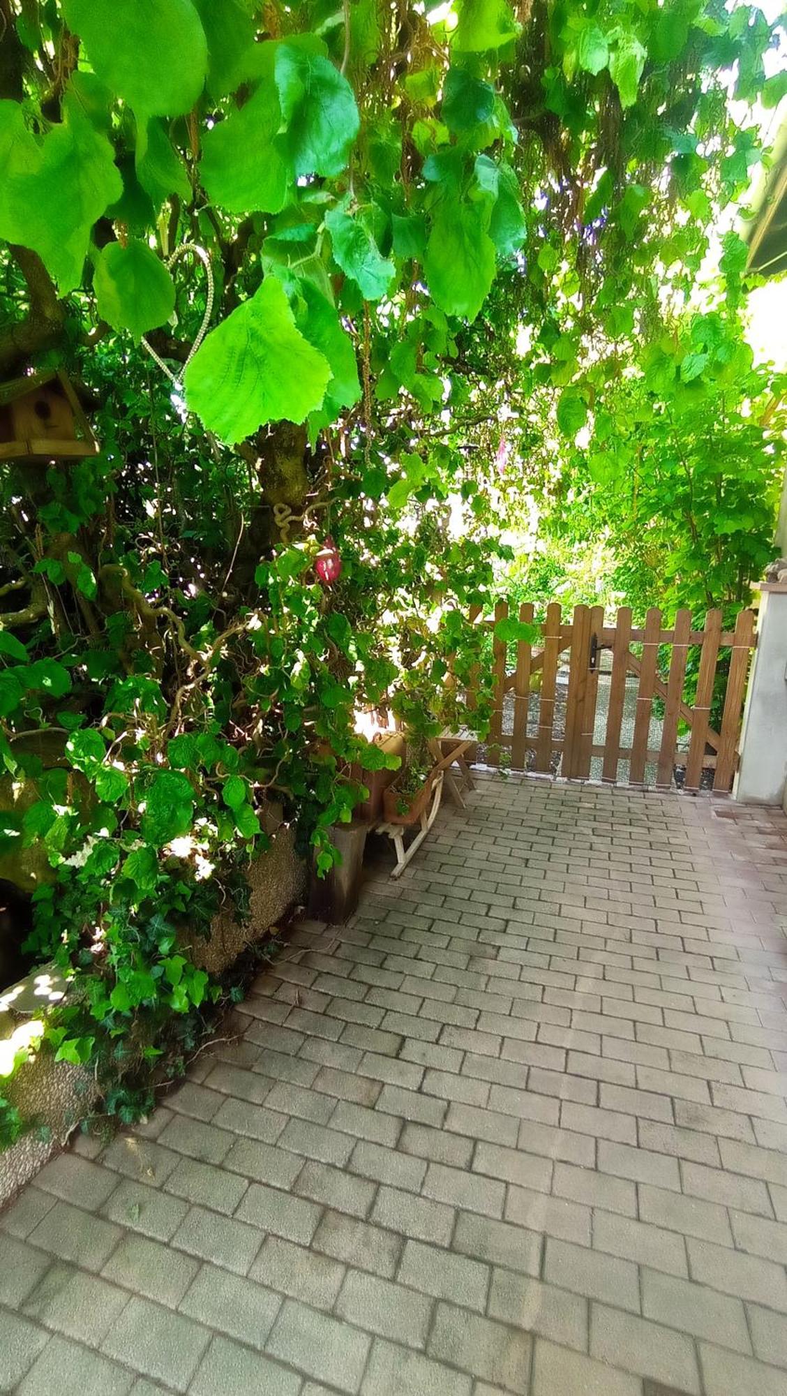 Apartament Garden Duplex Sundhoffen Zewnętrze zdjęcie