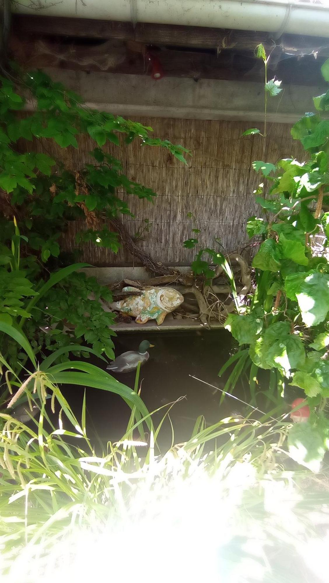 Apartament Garden Duplex Sundhoffen Zewnętrze zdjęcie