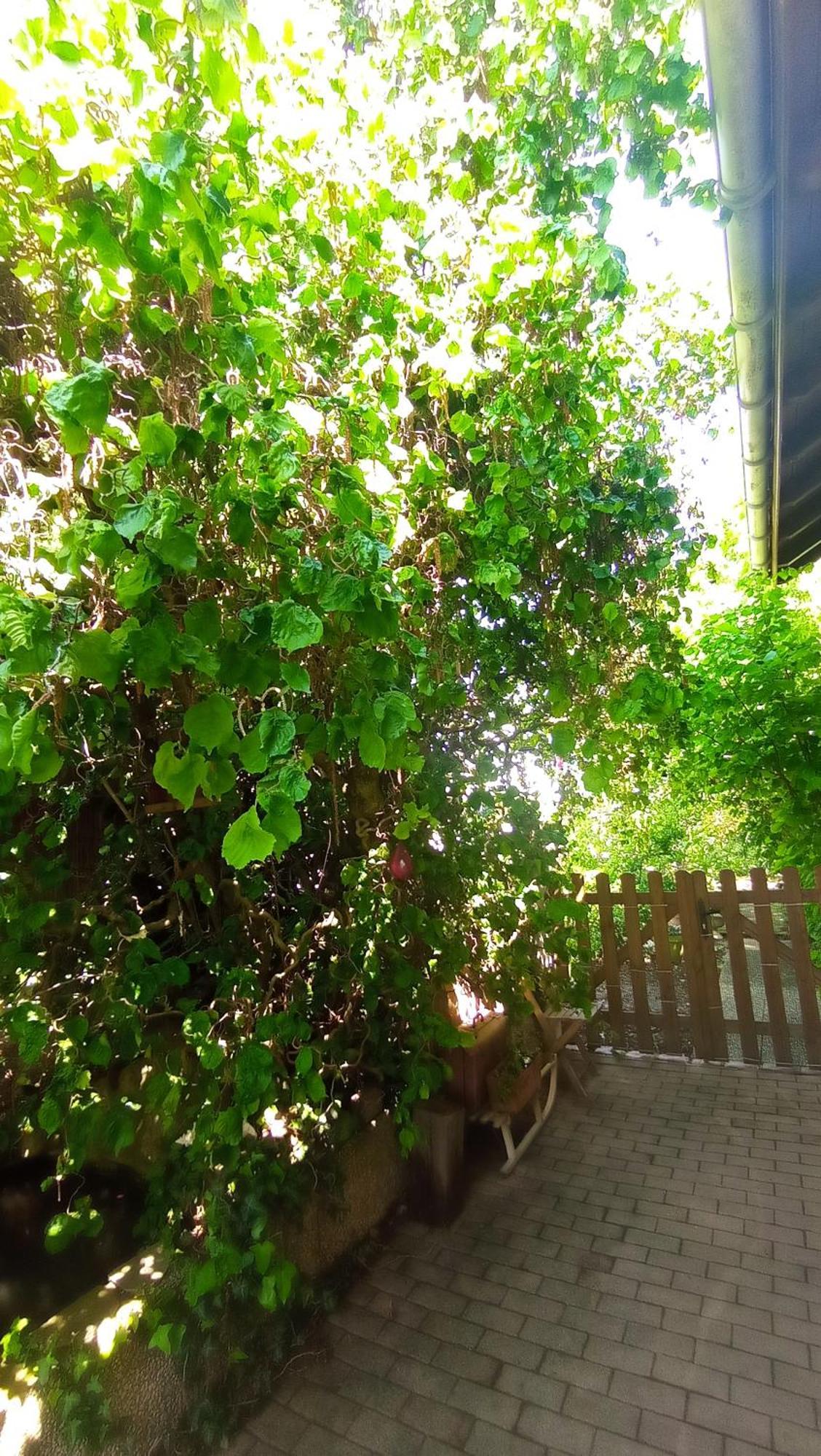 Apartament Garden Duplex Sundhoffen Zewnętrze zdjęcie